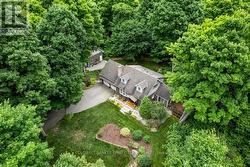 Summertime lush green privacy. - 