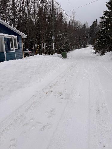 Rue - 170 Ch. Maplewood, Saint-Adolphe-D'Howard, QC - Outdoor