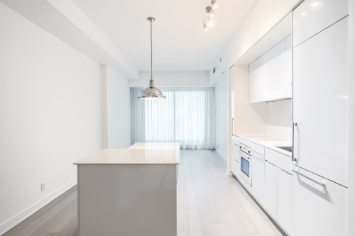 Kitchen - 2811-1288 Av. Des Canadiens-De-Montréal, Montréal (Ville-Marie), QC - Indoor Photo Showing Kitchen