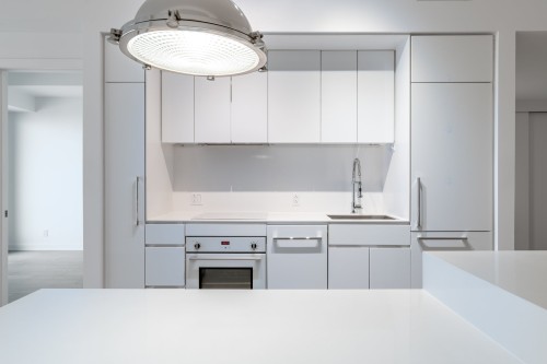 Kitchen - 2811-1288 Av. Des Canadiens-De-Montréal, Montréal (Ville-Marie), QC - Indoor