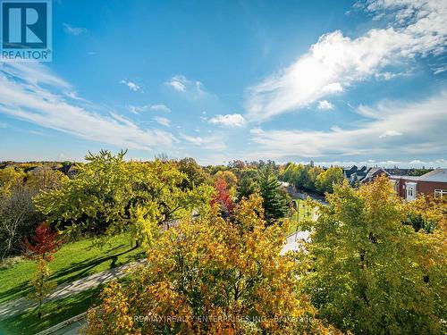 2386 Munns Avenue E, Oakville, ON - Outdoor With View