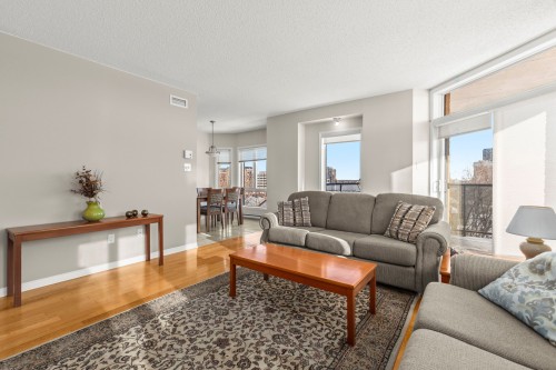 Salon - 609-3855 Boul. De Chenonceau, Laval (Chomedey), QC - Indoor Photo Showing Living Room