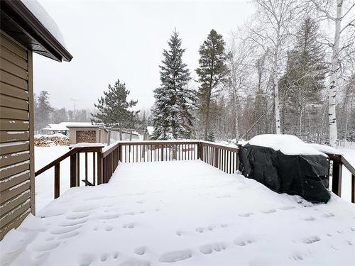 89 Shannon St, Alexander, MB 