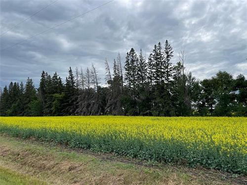 0 Red River Dr, Ritchot Rm, MB 