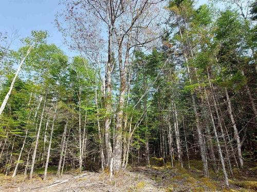 Lot 4 Highway 4, False Bay, NS 