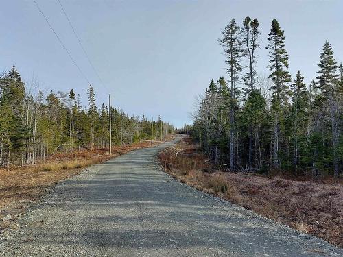 Lot 4 Highway 4, False Bay, NS 