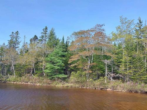 Lot 4 Highway 4, False Bay, NS 