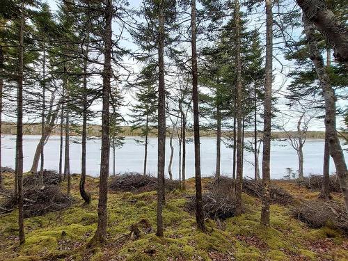 Lot 4 Highway 4, False Bay, NS 