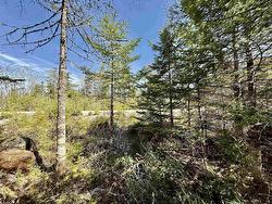 Lot 32 Dynasty Court Sherwood, NS B0J 1J0