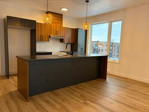 Kitchen - 301-85 Rue Janine-Sutto, Cowansville, QC - Indoor Photo Showing Kitchen