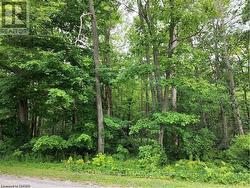 PT LT 20 7TH CONCESSION ROAD  Norfolk, ON N3Y 4K1