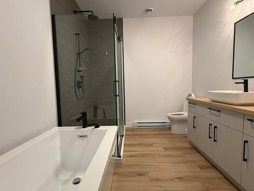 Bathroom - 401-85 Rue Janine-Sutto, Cowansville, QC - Indoor Photo Showing Bathroom