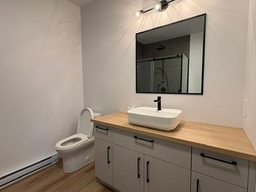 Bathroom - 401-85 Rue Janine-Sutto, Cowansville, QC - Indoor Photo Showing Bathroom