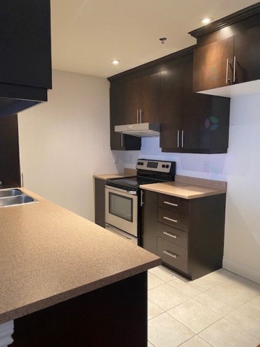 Kitchen - 403-100 Rue Barnett, Dollard-Des-Ormeaux, QC - Indoor Photo Showing Kitchen With Double Sink