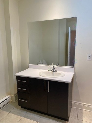 Bathroom - 403-100 Rue Barnett, Dollard-Des-Ormeaux, QC - Indoor Photo Showing Bathroom