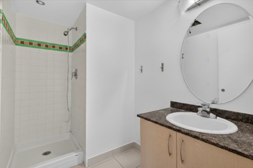 Bathroom - 703-88 Rue Charlotte, Montréal (Ville-Marie), QC - Indoor Photo Showing Bathroom