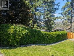 Beautiful lush green vine on property fence - 