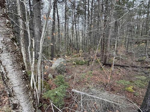 Lot 78 Thumb Cap Point, Labelle, NS 