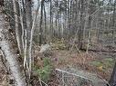 Lot 78 Thumb Cap Point, Labelle, NS 