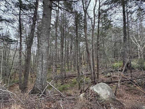 Lot 78 Thumb Cap Point, Labelle, NS 