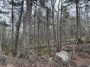 Lot 78 Thumb Cap Point, Labelle, NS 