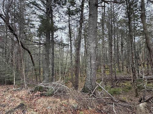 Lot 78 Thumb Cap Point, Labelle, NS 
