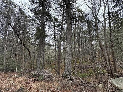 Lot 78 Thumb Cap Point, Labelle, NS 