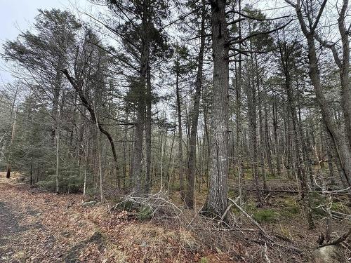 Lot 78 Thumb Cap Point, Labelle, NS 