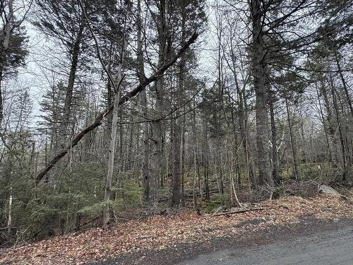 Lot 78 Thumb Cap Point, Labelle, NS 