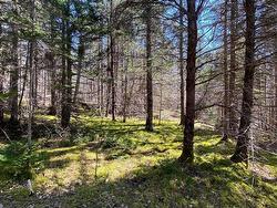 Ben Phinney Road  Melvern Square, NS B0P 1R0