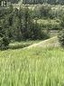 4764 Riverview Drive, Edgewater, BC  - Outdoor With View 