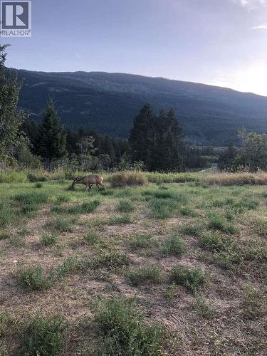 4764 Riverview Drive, Edgewater, BC - Outdoor With View