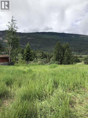 4764 Riverview Drive, Edgewater, BC - Outdoor With View