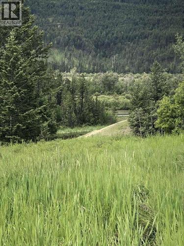 4764 Riverview Drive, Edgewater, BC - Outdoor With View