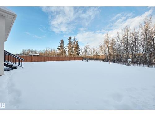 4183 Cameron Heights Pt Nw, Edmonton, AB - Outdoor