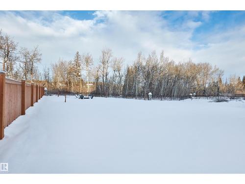 4183 Cameron Heights Pt Nw, Edmonton, AB - Outdoor