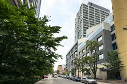 901-55 Ontario Street  Toronto, ON M5A 0T8