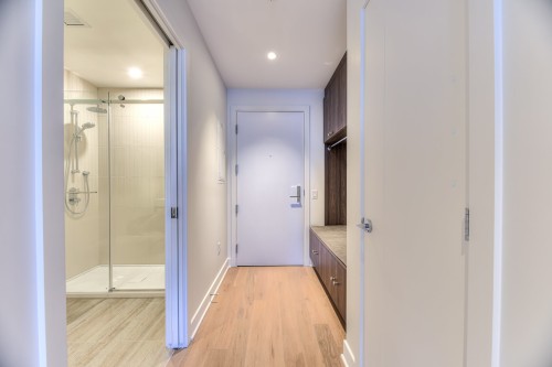 Hall d'entrée/Vestibule - 908-1200 Rue Drummond, Montréal (Ville-Marie), QC - Indoor Photo Showing Bathroom