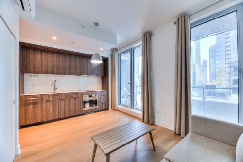 Salon - 908-1200 Rue Drummond, Montréal (Ville-Marie), QC - Indoor