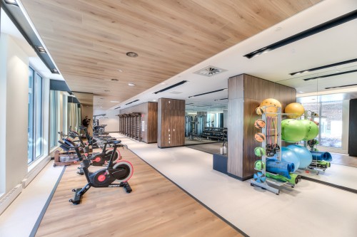 Salle d'exercice - 908-1200 Rue Drummond, Montréal (Ville-Marie), QC - Indoor Photo Showing Gym Room