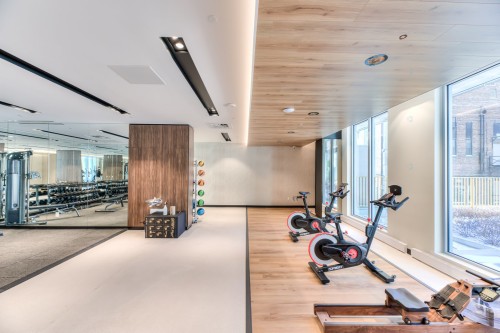 Salle d'exercice - 908-1200 Rue Drummond, Montréal (Ville-Marie), QC - Indoor Photo Showing Gym Room