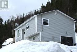 172 Hillview Drive  Cox's Cove, NL A0L 1C0