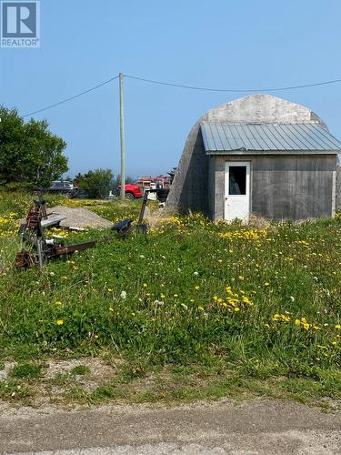 Shed - 5 Main Street, Portland Creek, NL - Outdoor