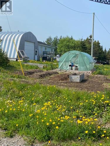 Garage and Greenhouse - 5 Main Street, Portland Creek, NL - Outdoor