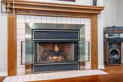 living room fireplace - 