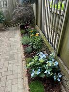 Your own Private Backyard & Garden. - 