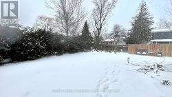 Fenced Backyard - 