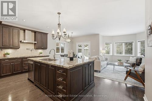 290 Eaton Street, Halton Hills, ON - Indoor Photo Showing Kitchen With Double Sink With Upgraded Kitchen
