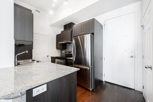 Kitchen - 1212-4975 Rue Jean-Talon O., Montréal (Côte-Des-Neiges/Notre-Dame-De-Grâce), QC - Indoor Photo Showing Kitchen With Upgraded Kitchen