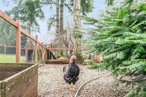 6126 Renton Rd, Port Alberni, BC 